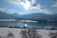 Blick von den Ferienwohnungen auf den Wolfgangsee